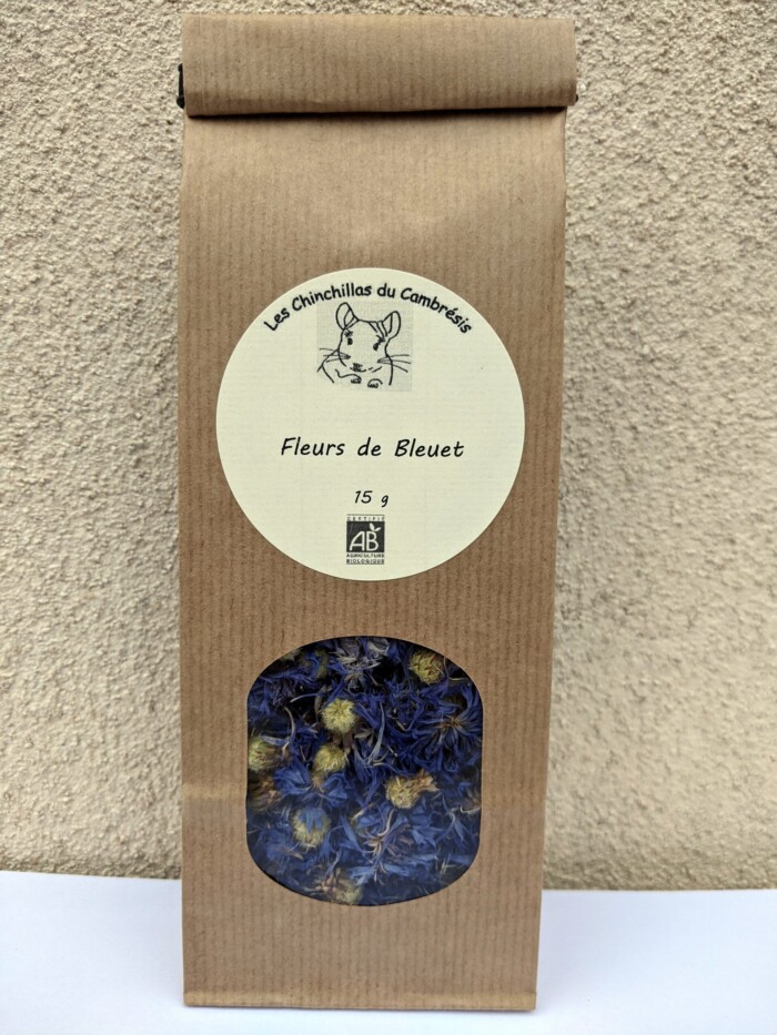Fleurs de bleuet