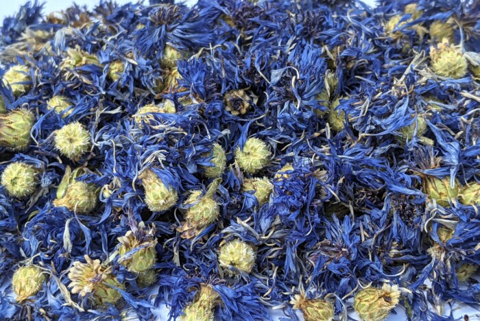 Fleurs de bleuet – Image 2