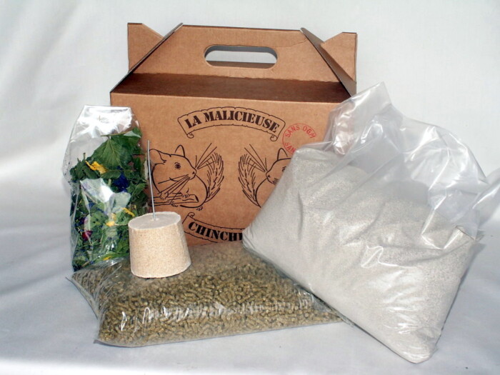 La malicieuse – Image 2