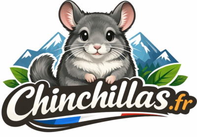 Chinchillas